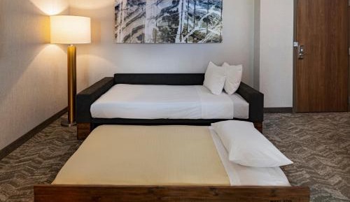 King Suite with Sofa Bed and Trundle Bed - Hearing Accessible