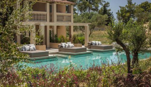 Deluxe garden swim up room ( shared pool )