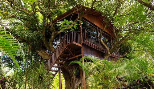 Deluxe Treehouse with Bathtub