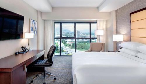 King Guest Room with City View