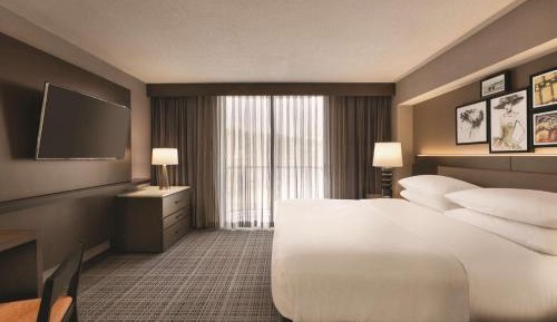 King Suite with Sofa Bed