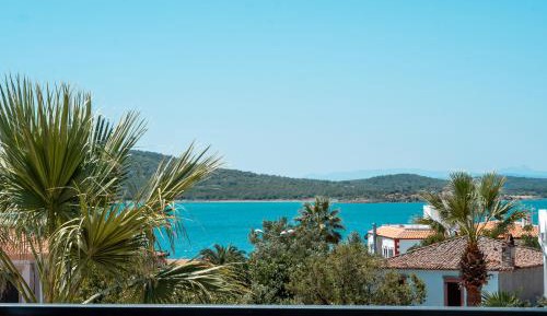 Double Room with Terrace
