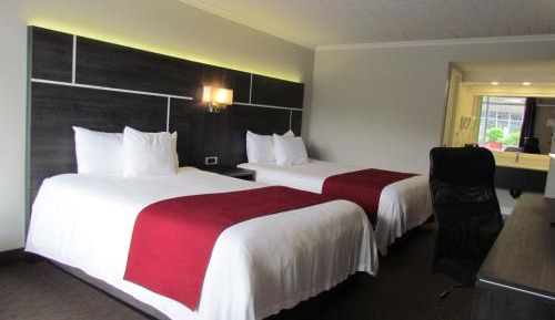 Queen Room with Two Queen Beds - Non Smoking