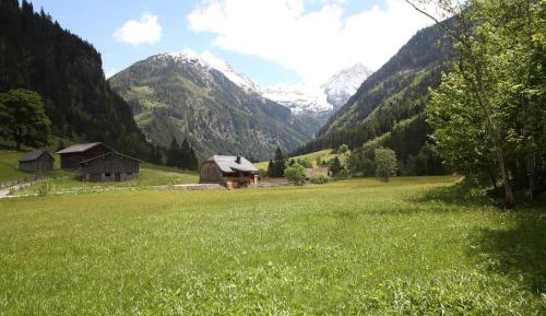 Two-Bedroom Chalet with shower
