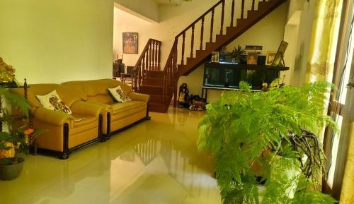 Deluxe Double Room with Jungle View