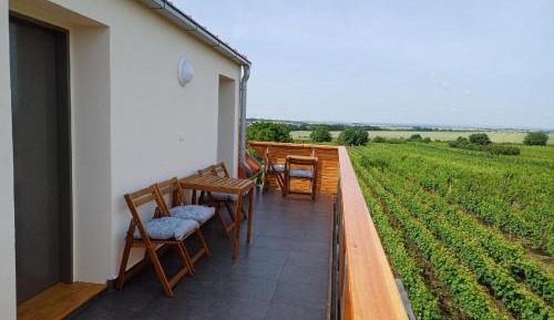 Double or Twin Room with Terrace