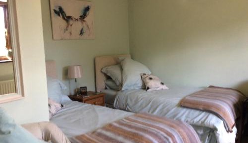 Superior Twin Room with Garden View
