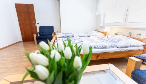 Studio with Garden View