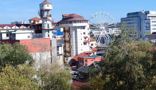 Three-Bedroom Apartment with View