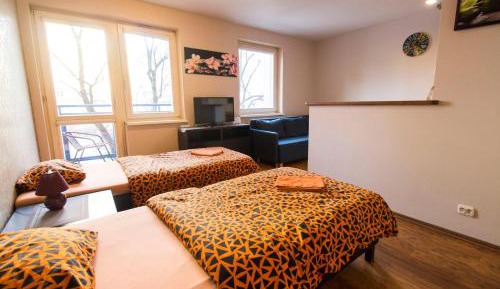 Studio Apartment - ul. Biskupia 7