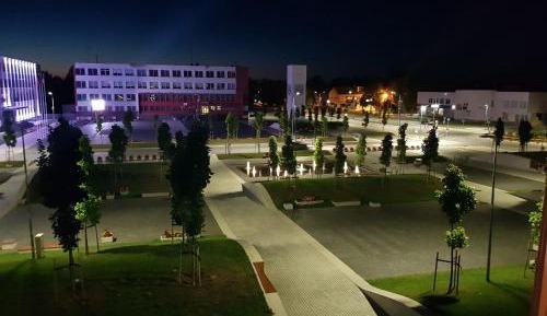 Apartment with Garden View