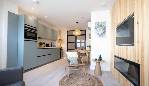 Deluxe Apartment