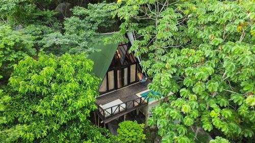 King Room with Pool View