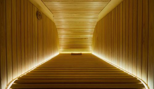 Suite with Sauna