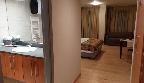 King Studio with Sofa Bed