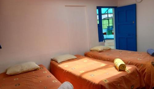 Triple Room with Shared Bathroom