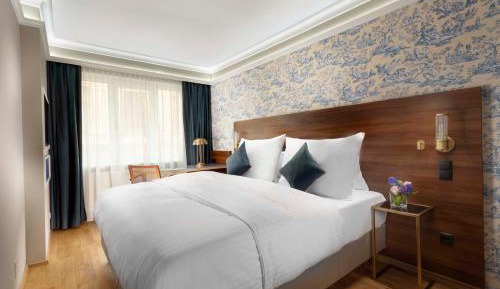 Cozy King Double Room