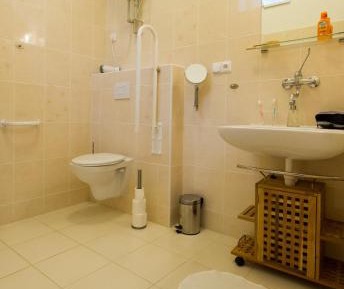 King Room with Roll-In Shower - Disability Access