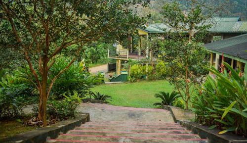 Family Room with Garden View