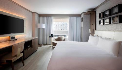 One-Bedroom Junior King Suite with Sofa Bed