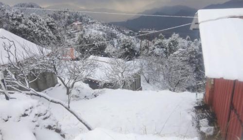 Classic Quadruple Room