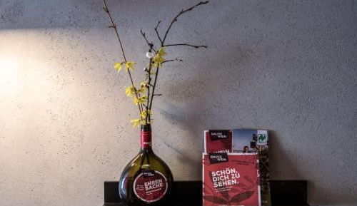 Deluxe Double Room with Shower