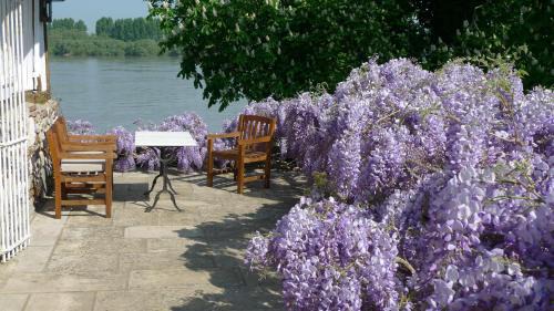 Bellevue Suite - Sea View