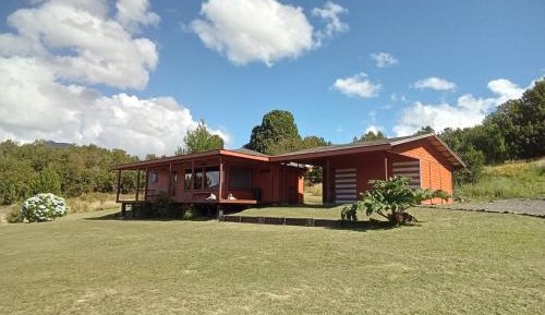 Standard Bungalow