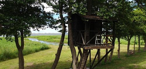 Bungalow - Water Front 