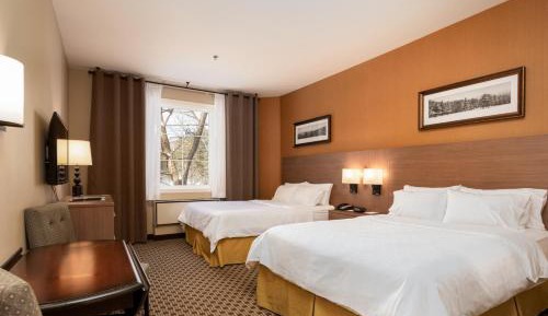 Standard Double Room with Two Double Beds