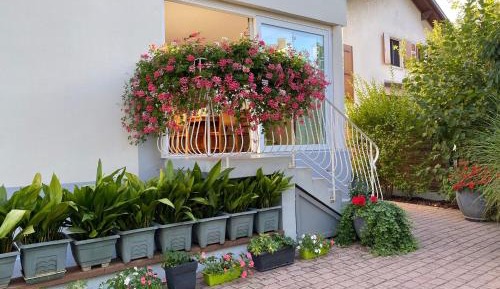 Two-Bedroom Apartment (4 Adults)