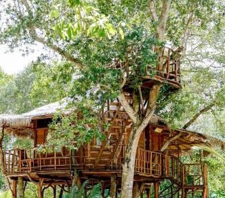 One-Bedroom Villa