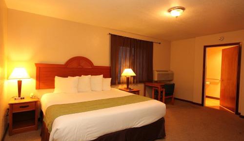 King Room - Pet Friendly
