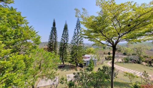 Double Room with Mountain View