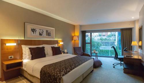Premium King Room