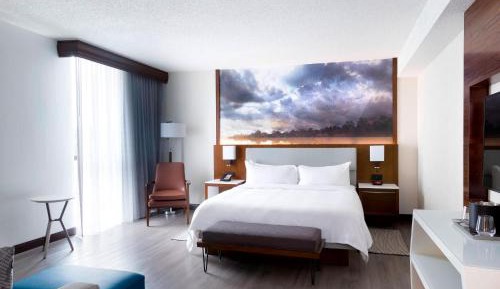 Junior King Suite