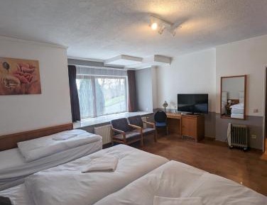 Basic Triple Room