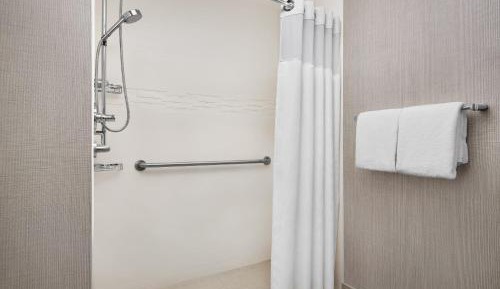 Studio Suite with Sofa Bed and Roll-in Shower - Mobility Accessible