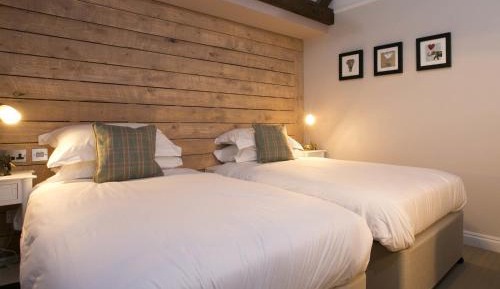 Cozy Twin Room