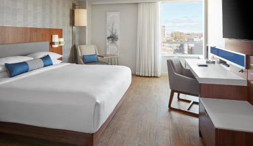 1 King Bed High Floor