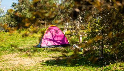 Tent