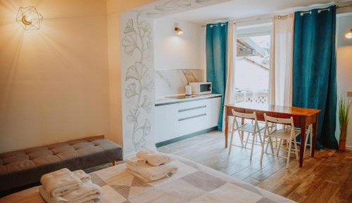 Studio Apartment