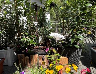 Apartment with Terrace