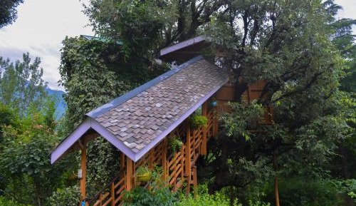 Tree House