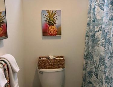 Pineapple Suite