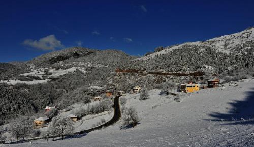 Apartment with Mountain View