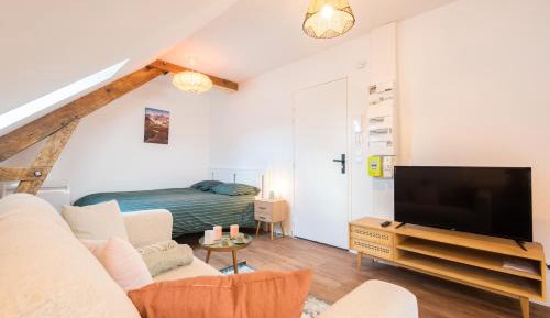 Studio Apartment