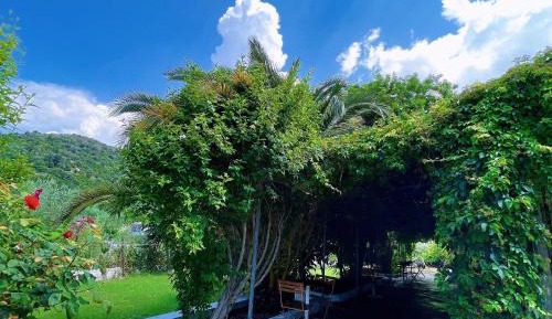 Double Room with Garden View