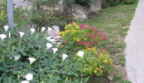 One-Bedroom Apartment with Terrace and Sea View