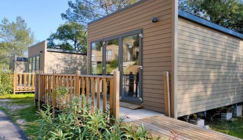 Double Room with Patio